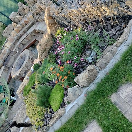 Villa Garden Bešeňová المظهر الخارجي الصورة
