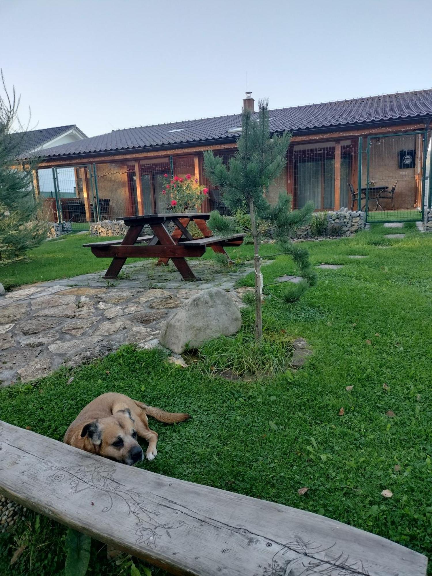Villa Garden Bešeňová المظهر الخارجي الصورة